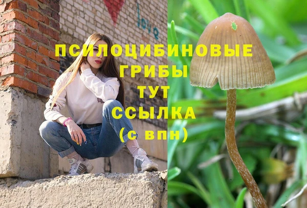 мет Верея