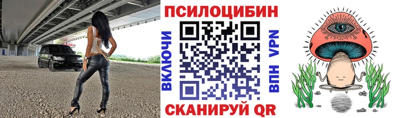 Купить закладки  Вилючинск  Галлюциногенные грибы Magic Shrooms 